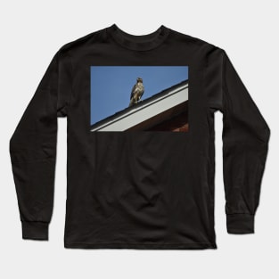 Hawk Long Sleeve T-Shirt